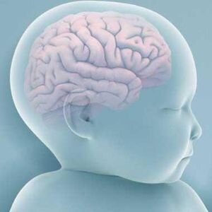 21019ebf-1553-4ae0-83c2-079518c0b26a 21019ebf-1553-4ae0-83c2-079518c0b26a