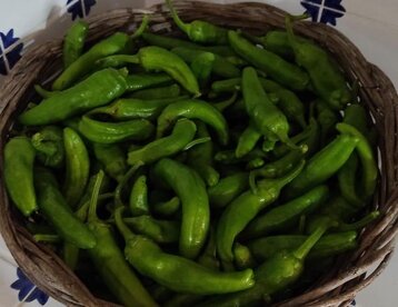 f2895be3-1c25-419c-a813-b92bb17a4424 f2895be3-1c25-419c-a813-b92bb17a4424