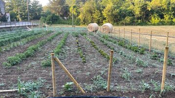 65a5c13c-d291-43f4-b109-c6e940b142d4 65a5c13c-d291-43f4-b109-c6e940b142d4