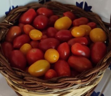 52edab97-b02b-4dea-a09d-7952b83f985b 52edab97-b02b-4dea-a09d-7952b83f985b