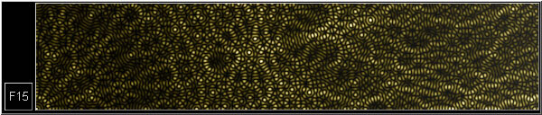 cb4980bc-1455-4159-9481-14834febf451