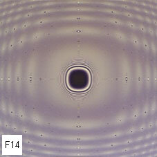 99e81d92-5d96-4e8a-b880-c6f7023610e0