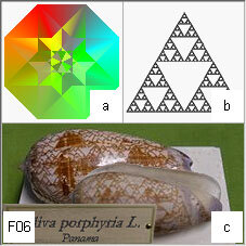 48f63f63-2fcd-4901-9a59-5625c8b1c38d