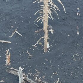 Lava flow of 2002 Eruption