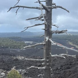 ETNA NORD Colata 2002 ETNA NORD Colata 2002