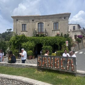 SAVOCA Bar Vitelli
