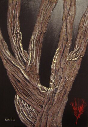 pinomarittimo pinomarittimo