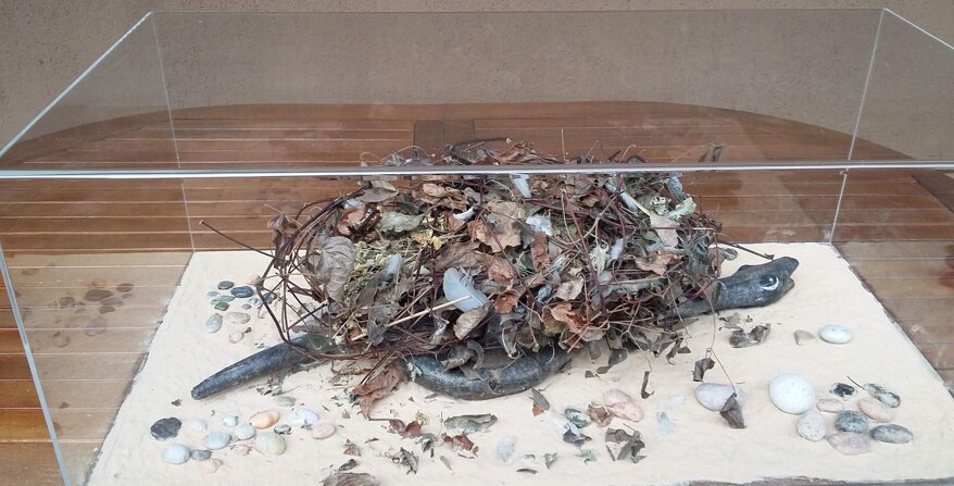 1401e14c-9ff0-4798-9408-475c2f04a3c2