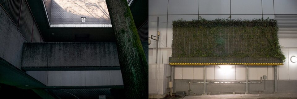 0a3d0d9c-f49a-4ab0-8370-a9ffefa4940b