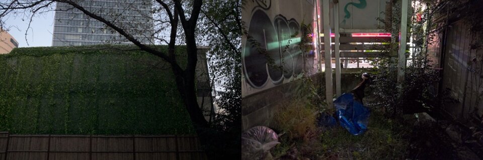 a1cefe2b-d9b6-4564-8157-74efe8a4e55a