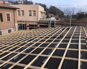 dsc_0013.jpeg dsc_0013.jpeg