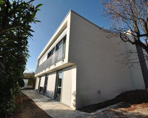 dsc_0001.jpeg dsc_0001.jpeg