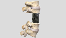 87c56a89-85a8-4cf7-8408-fc63cbc244d3