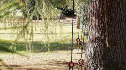 da3fd6a2-6e19-444d-8213-a258c371c14b da3fd6a2-6e19-444d-8213-a258c371c14b