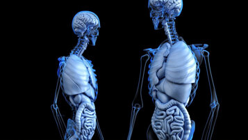 83016013-a636-4d74-b65f-5f412a5b533f