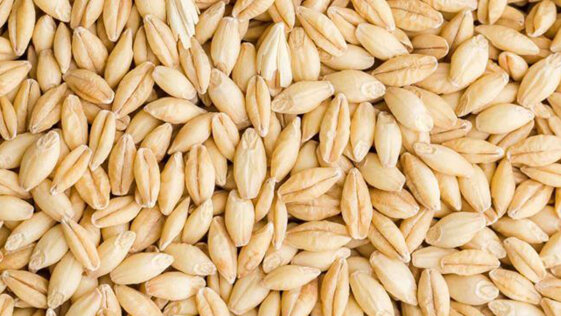 0f8fd833-5f90-4fae-988c-84af8ea24413