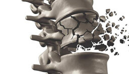 2c42acc6-82f7-4d18-a1c0-4048ec4c1432