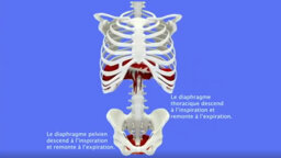 46a6d5c2-2191-4c57-8259-763b04f6926c