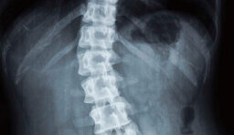 a2e73d42-f9f3-47b1-8173-45773e70a761