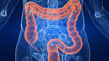 gastroenterologia_specialisti.jpeg