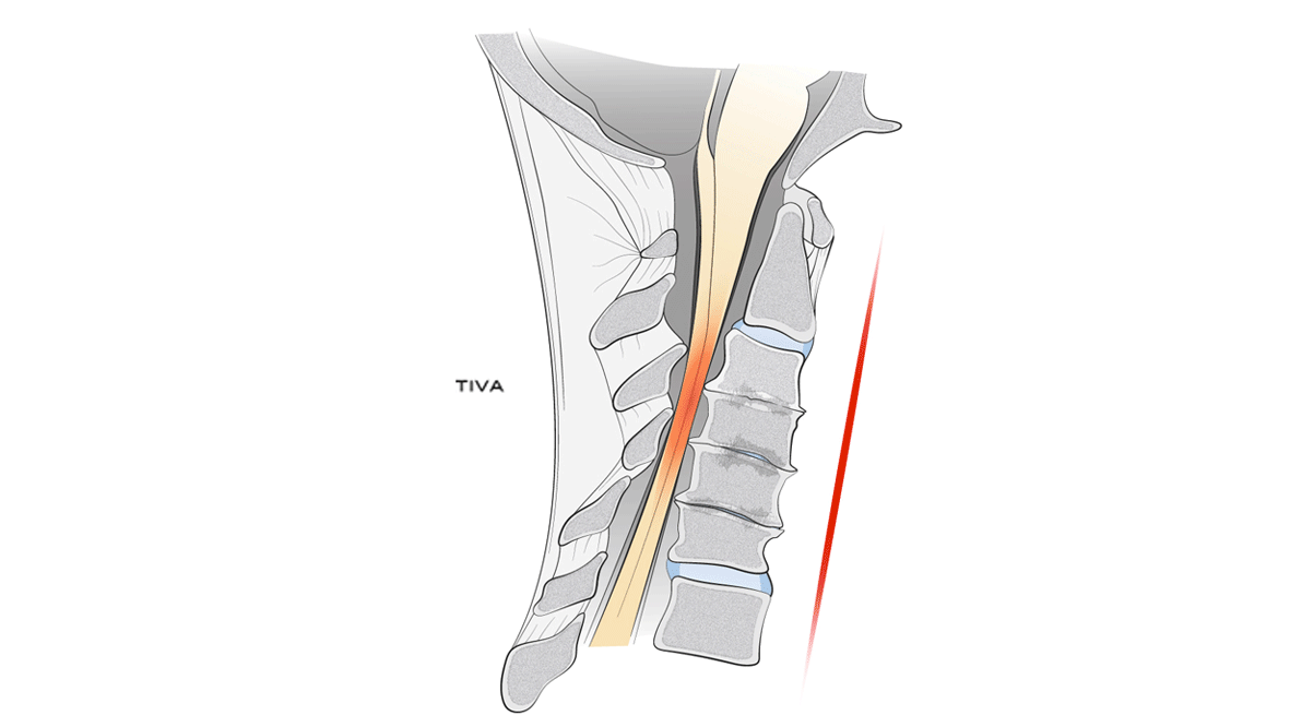 5f3d0371-d9e4-4a9b-85a1-c6056b882f41