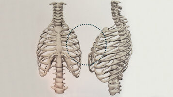 734d9eac-016f-4beb-b6b0-fe51386b00e4 734d9eac-016f-4beb-b6b0-fe51386b00e4