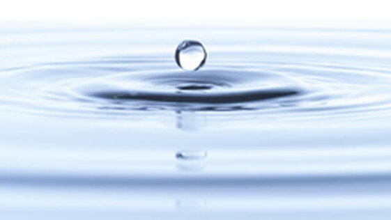 d62d8637-1dfd-446b-8ee1-1dcf9834cb53