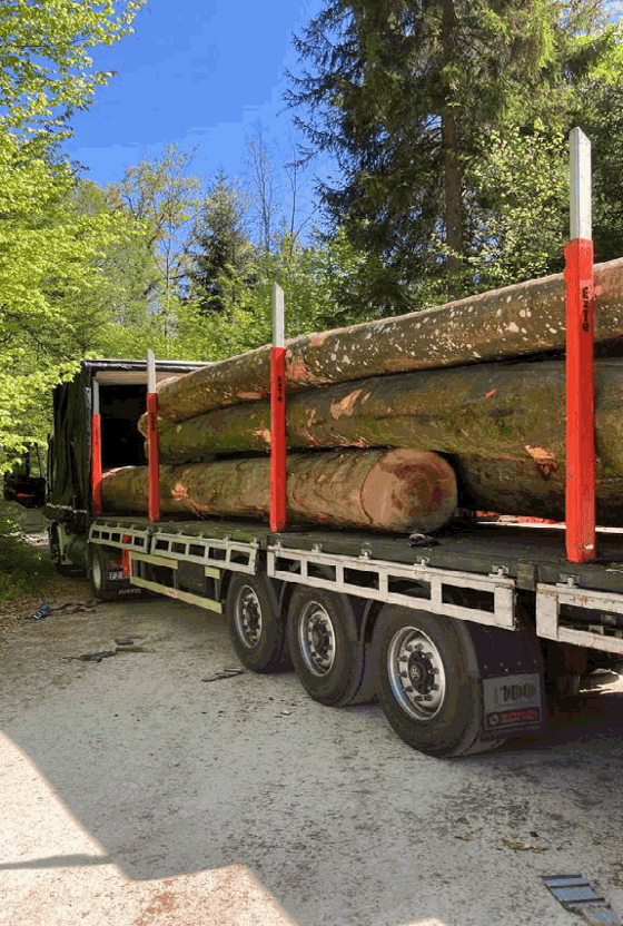 f16a9973-f4ea-40c3-ab80-ca2445b8b6d8