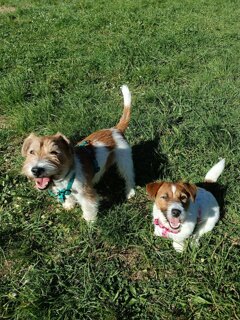 img-20260330-wa0014.jpeg img-20260330-wa0014.jpeg