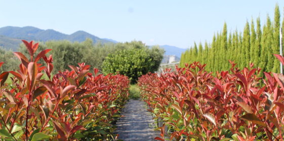 39485f9b-97c4-4eaa-aa94-53cf6f642272 39485f9b-97c4-4eaa-aa94-53cf6f642272