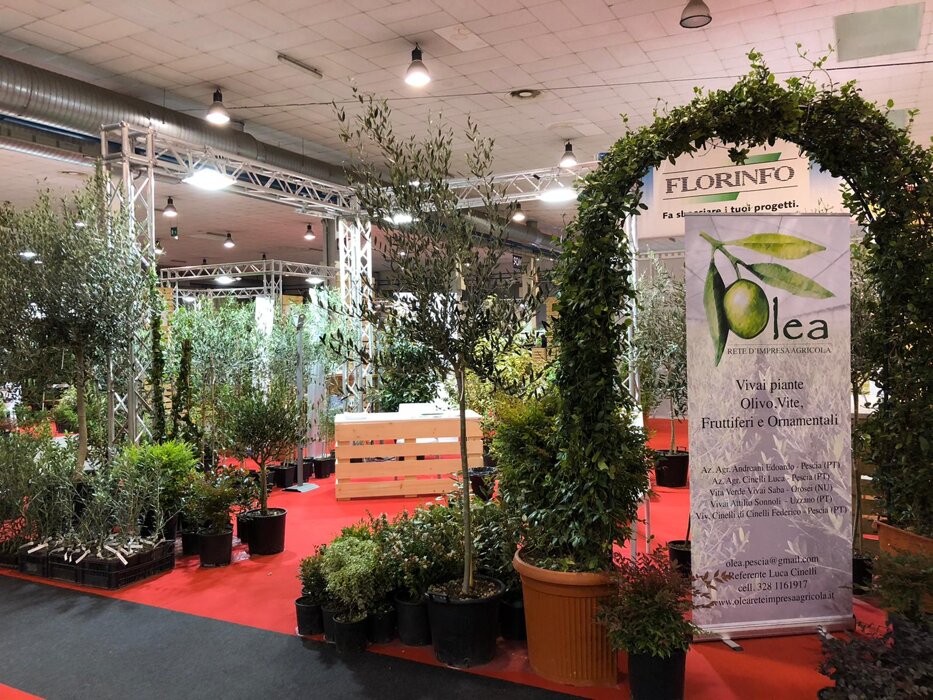 c4c08df1-854c-42c6-bb71-8045b1d389be c4c08df1-854c-42c6-bb71-8045b1d389be