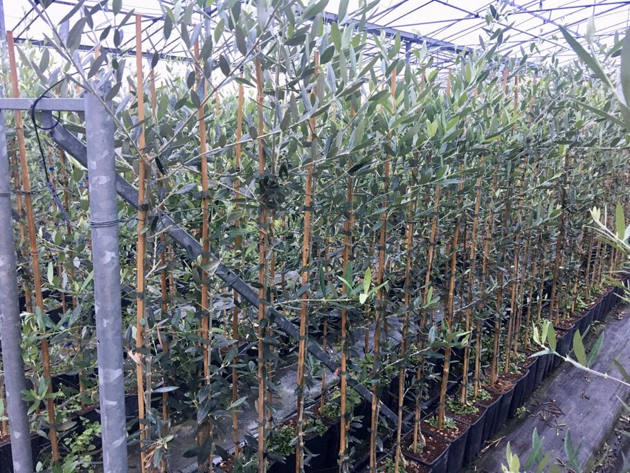 91f42845-d049-4659-83fa-26d97c882fd2 91f42845-d049-4659-83fa-26d97c882fd2