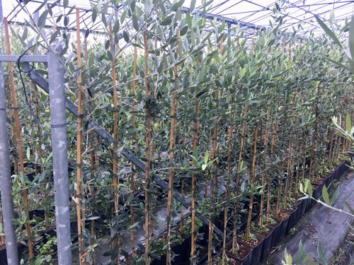 edb825c1-8022-4ed1-9412-37a0622e486f edb825c1-8022-4ed1-9412-37a0622e486f