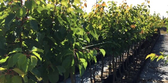 4a33d03f-b1b6-44ff-bd41-58e23d39681d 4a33d03f-b1b6-44ff-bd41-58e23d39681d