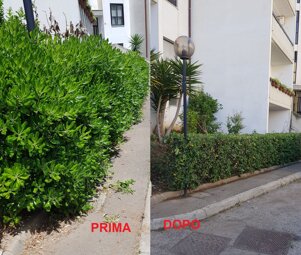 eb81526e-8efa-48d3-85da-87f71e5d797d eb81526e-8efa-48d3-85da-87f71e5d797d