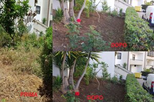 b8bc9316-c073-4166-9e04-c060912a669a b8bc9316-c073-4166-9e04-c060912a669a