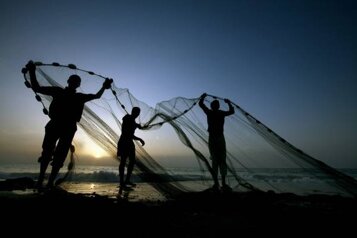 pesca