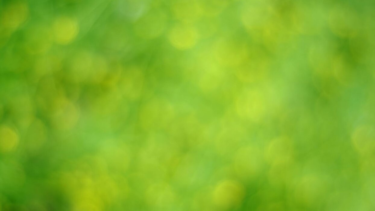 99c7cd0c-7f71-4e78-8cc1-1a8520eca746 99c7cd0c-7f71-4e78-8cc1-1a8520eca746