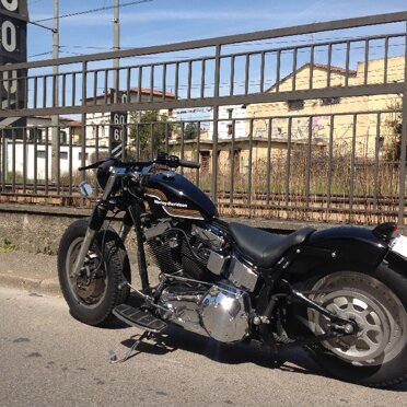 Softail Softail