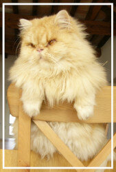 548f5fcd-70eb-4584-86cd-127631284c37 548f5fcd-70eb-4584-86cd-127631284c37