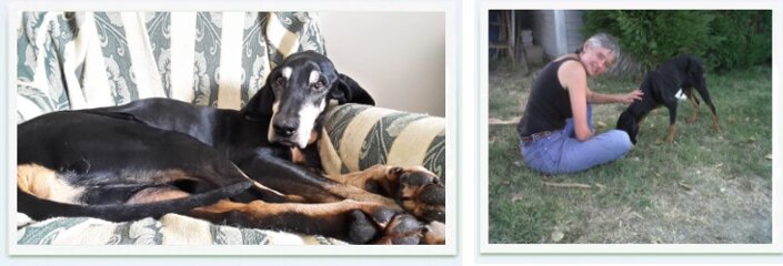 1e0c910f-fd44-4a05-bc16-be37e20d3c40 1e0c910f-fd44-4a05-bc16-be37e20d3c40