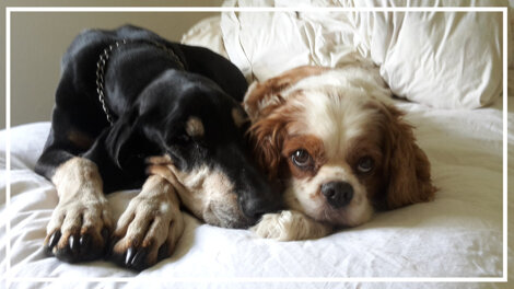 af78287c-264c-4cfb-ae5b-5bb87a752843 af78287c-264c-4cfb-ae5b-5bb87a752843