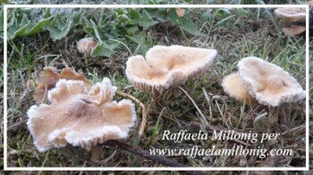 ef74c509-765d-4725-921c-a5096a1a9157