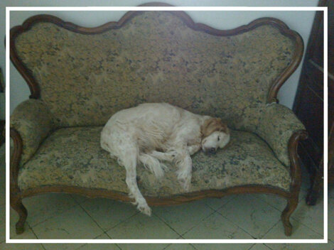 172d1bb2-8e48-4cef-97b7-c3679561bf1f 172d1bb2-8e48-4cef-97b7-c3679561bf1f