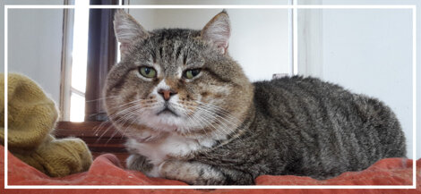 9b20f70a-8306-4076-9e39-621152af34b6 9b20f70a-8306-4076-9e39-621152af34b6