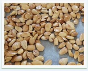 f81cdf88-3a46-4ee8-ba2a-150b2dd5fc97