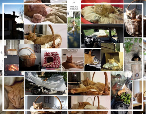 20e4bb2c-1443-4143-95ad-00b04cf31e5f 20e4bb2c-1443-4143-95ad-00b04cf31e5f