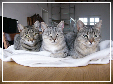 db54d84e-9754-4baf-bfed-c8b300ecfafa db54d84e-9754-4baf-bfed-c8b300ecfafa