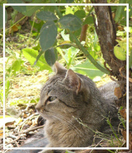 012ea38d-54e6-45b3-a23e-21e362e1e11a 012ea38d-54e6-45b3-a23e-21e362e1e11a