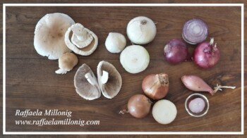 69c687ab-de12-4988-90b0-80a1d0ac78e1